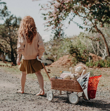 Load image into Gallery viewer, Rattan Wonder Wagon