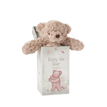 Load image into Gallery viewer, Bear Snuggler