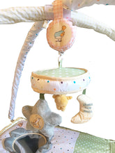 Load image into Gallery viewer, Guess How Much I Love You Activity Gym with Mobile