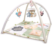 Load image into Gallery viewer, Guess How Much I Love You Activity Gym with Mobile