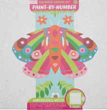 Load image into Gallery viewer, Colorific Canvas Paint By Number - Assorted