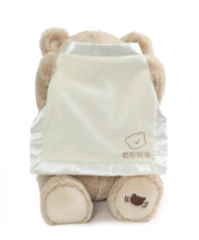 Load image into Gallery viewer, Peek A Boo Bear