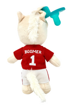 Load image into Gallery viewer, OU Boomer Gamezie Pacifier