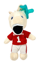 Load image into Gallery viewer, OU Boomer Gamezie Pacifier