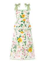 Load image into Gallery viewer, Kaylee Cotton Embroidered Maxi Dress
