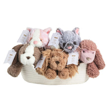 Load image into Gallery viewer, Puppies And Kittens - Assorted
