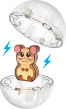 Load image into Gallery viewer, Hamster Ball
