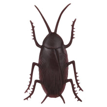 Load image into Gallery viewer, Speedy Cockroach
