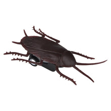 Load image into Gallery viewer, Speedy Cockroach

