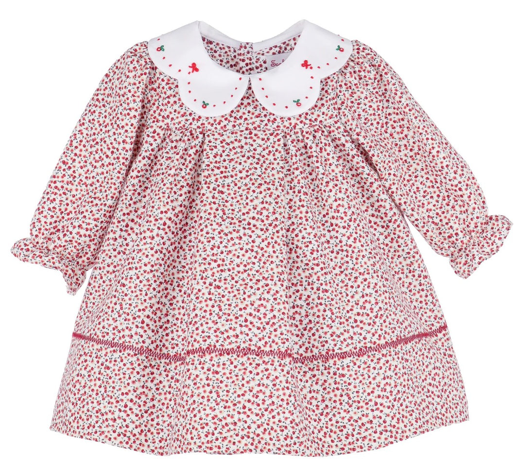 Apple Orchard Dress - Red