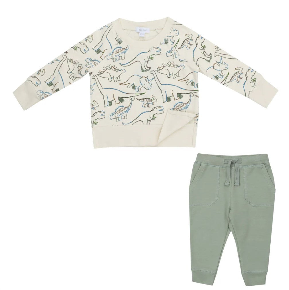 Artsy Dinos Raglan Sweatshirt Jogger Set