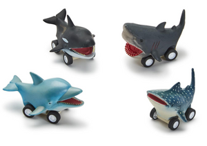 Reef Racers Fish Pull Back Toy- Assorted