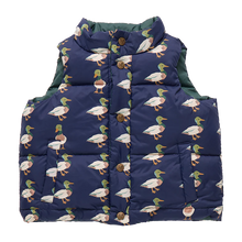 Load image into Gallery viewer, Ellis Reversible Vest - Evergreen Stripe
