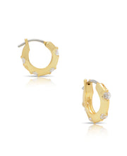 Load image into Gallery viewer, Hoop Earrings With CZ
