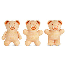 Load image into Gallery viewer, Teddy Grahams Honey Packaging Plush
