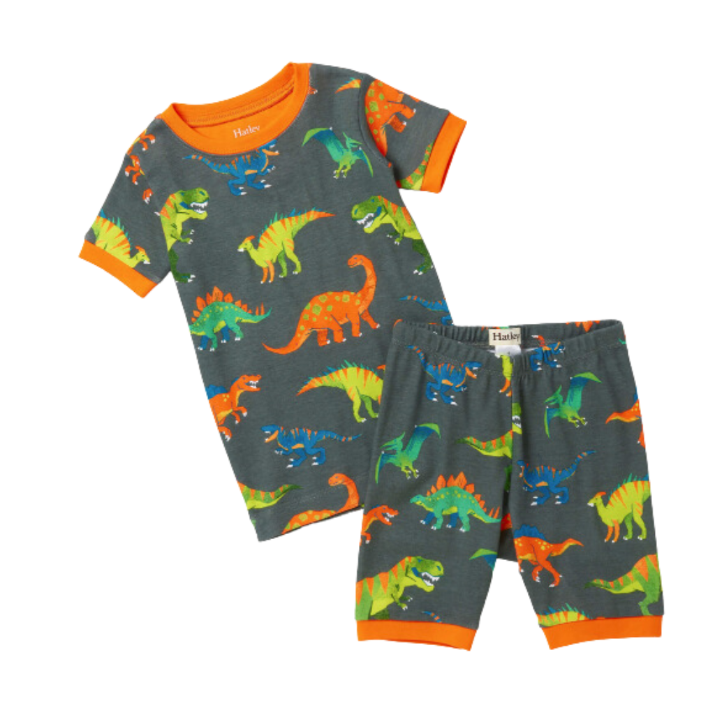 Colorblock Dino Short Pajama Set