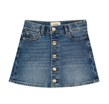Load image into Gallery viewer, Jenny Mini Skirt - Lakewood

