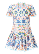 Load image into Gallery viewer, Joanna Embroidered Mini Dress

