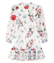 Load image into Gallery viewer, Maise Ivory Embroidered Dress
