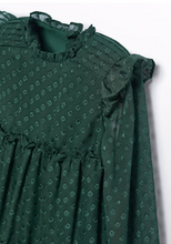 Load image into Gallery viewer, Green Plumeti Jacquard Dress
