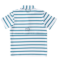 Load image into Gallery viewer, Performance Long Sleeve Polo - Alexandrite Fairway Stripe
