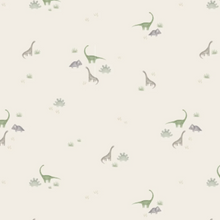 Load image into Gallery viewer, Tiny Dino Organic Cotton Magnetic Footie
