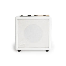 Load image into Gallery viewer, Mini Amp
