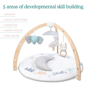Rising Star Play & Discover Activity Gym