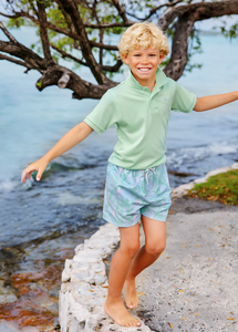 Tortola Swim Trunks - Parrot Island Palms