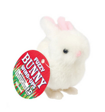 Load image into Gallery viewer, Fuzzy Bunny Wind Up Toy
