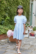 Load image into Gallery viewer, Blue Seersucker Gingham With Bouquet Print Dress

