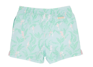 Tortola Swim Trunks - Parrot Island Palms