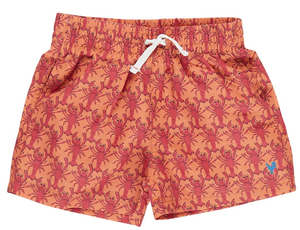 Boys Swim Trunk - Orange Lobsters