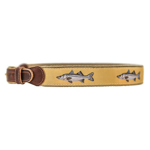 Snook Belt