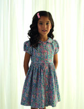 Load image into Gallery viewer, Blue Winter Floral Button Front Dress
