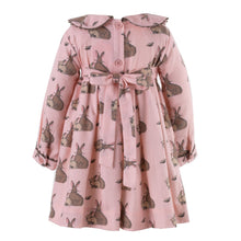 Load image into Gallery viewer, Pink Bunny Flannel Dress And Bloomers
