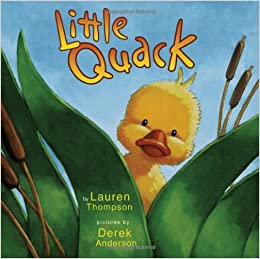 Little Quack Board Book