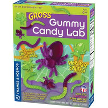 Load image into Gallery viewer, Worms And Spiders Gross Gummy Candy Lab
