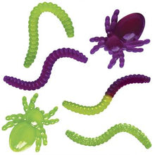 Load image into Gallery viewer, Worms And Spiders Gross Gummy Candy Lab
