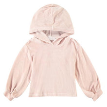 Load image into Gallery viewer, Rose Cropped Hoodie
