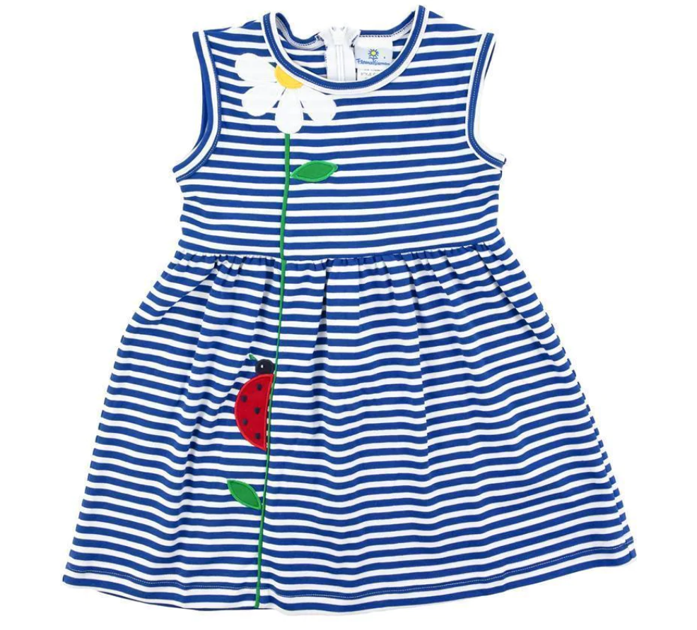 I Spy a Little...Stripe Ladybug Knit Dress