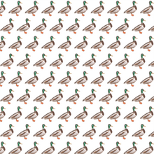 Load image into Gallery viewer, Beckett Hangout Pant - Mallard Duck
