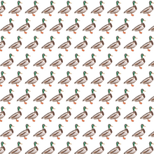 Load image into Gallery viewer, Mallard Duck Zipper Pajamas
