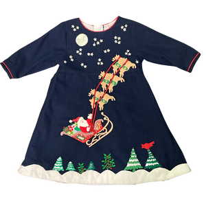 Santa Embroidered Dress