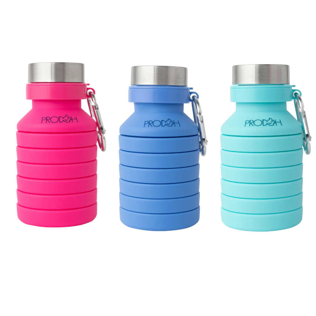 Collapsible Water Bottle With Carabiner