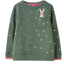 Load image into Gallery viewer, Rabbit Sweatshirt
