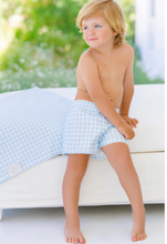 Load image into Gallery viewer, Blue Gingham Swim Trunks
