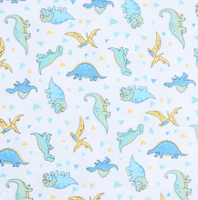 Load image into Gallery viewer, Dinoland Printed Footie
