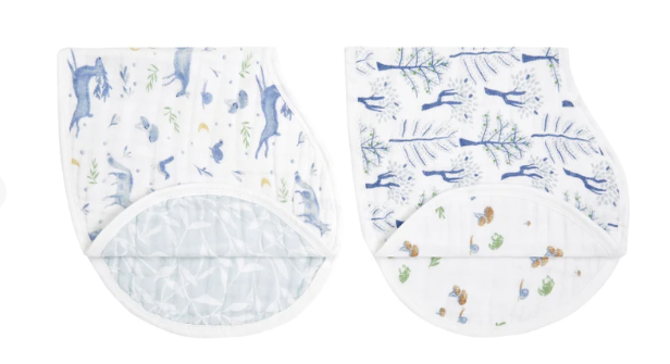 Organic Burpy Bibs 2 Pack - Outdoors