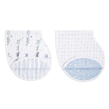 Load image into Gallery viewer, Classic Burpy Bibs 2 Pack - Rising Star
